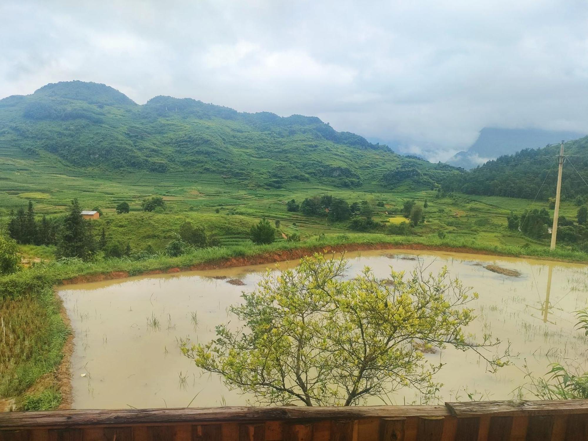 Don Dao Homestay