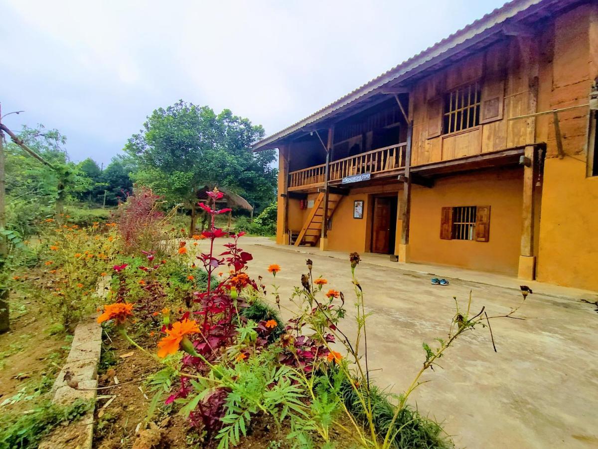 Don Dao * Ha Giang